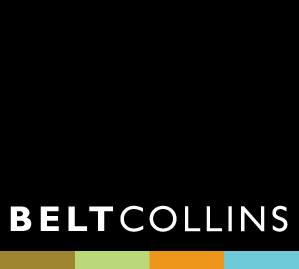 Belt Collins